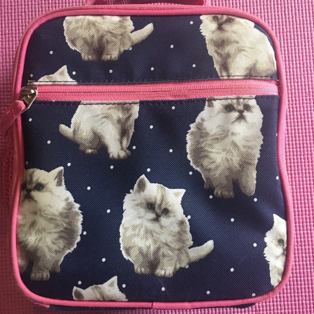 Pottery barn lunch bag